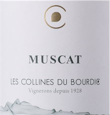 Muscat Petits Grains 2023 | Les Collines de Bourdic