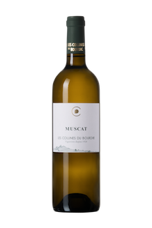 Muscat Petits Grains 2024 | Les Collines de Bourdic