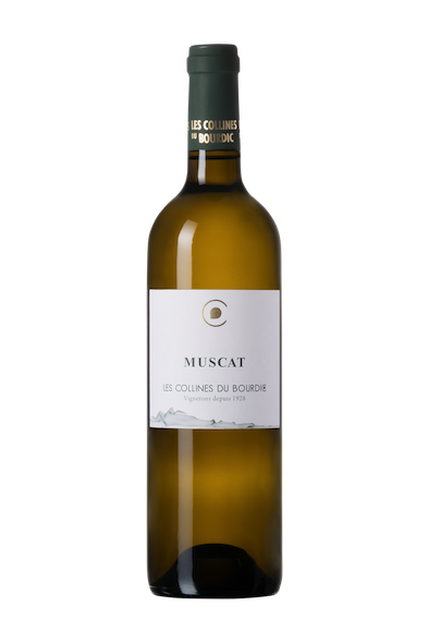 Muscat Petits Grains 2024 - Les Collines de Bourdic