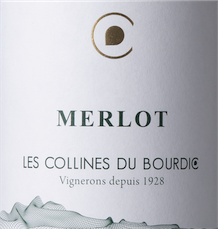 Merlot 2022 - Les Collines de Bourdic