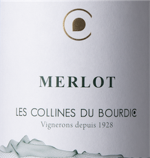 Merlot 2024 - Les Collines de Bourdic