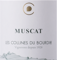 Muscat Petits Grains 2024 | Les Collines de Bourdic