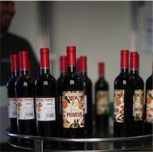 Vin Primeur rouge 2026 | Les Collines de Bourdic