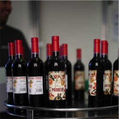 Vin Primeur rouge 2026 - Les Collines de Bourdic